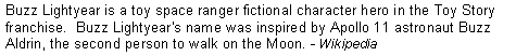 Text Box: Buzz Lightyear is a toy space ranger fictional character hero in the Toy Story franchise.  Buzz Lightyear's name was inspired by Apollo 11 astronaut Buzz Aldrin, the second person to walk on the Moon. - Wikipedia