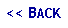 Text Box: << BACK