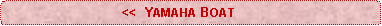 Rounded Rectangle:                                <<  YAMAHA BOAT