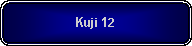 Rounded Rectangle: Kuji 12