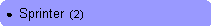Rounded Rectangle: ●  Sprinter  (2)