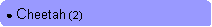 Rounded Rectangle: ● Cheetah (2)