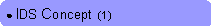 Rounded Rectangle: ● IDS Concept  (1)