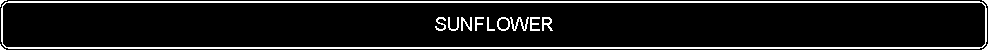 Flowchart: Alternate Process: SUNFLOWER