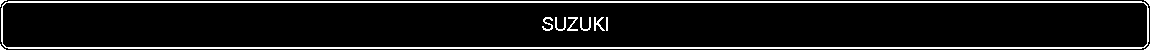 Flowchart: Alternate Process: SUZUKI