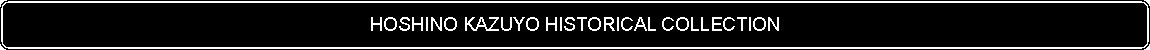 Flowchart: Alternate Process: HOSHINO KAZUYO HISTORICAL COLLECTION