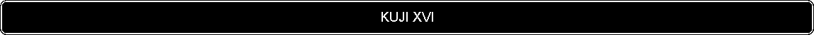 Flowchart: Alternate Process: KUJI XVI